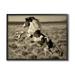 Stupell Industries Rearing Spotted Horse Rural Countryside Field Photography Photograph Black Framed Art Print Wall Art Design by Lisa Dearing