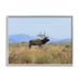 Stupell Industries Elk Grazing Pasture Grassland Blue Distant Mountains Framed Wall Art 30 x 24 Design by Daniel Sproul