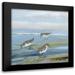 Swatland Sally 12x12 Black Modern Framed Museum Art Print Titled - Seabird Beach I