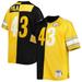 Men's Mitchell & Ness Troy Polamalu Black/Gold Pittsburgh Steelers Big Tall Split Legacy Retired Player Replica Jersey