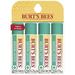 Medicated Lip Balm Stocking Stuffer Burt s Bees Moisturizing Lip Care Holiday Gift for Dry Chapped Lips All Natural with Menthol & Eucalyptus (4 Pack)