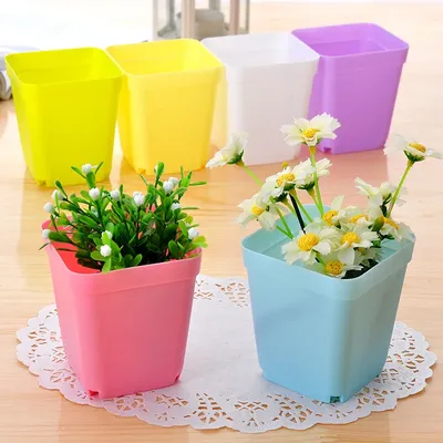 Pot de fleurs de pépinière multicolore 10 pièces en plastique graines de plantes boîte de
