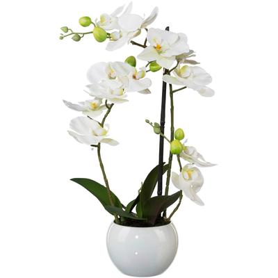 Kunstpflanze CREATIV GREEN "Phalaenopsis", weiß, H:42cm, Kunststoff, Polyester, Keramik, Kunstpflanzen Image