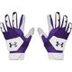 Under Armour Boys Clean Up 21 Batting Gloves