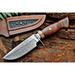 BigCat Roar Wild Tiger Damascus Buck Knife with Sheath - 4.8 Drop-Point Blade Hunting Knife