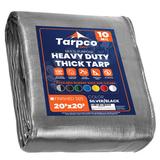 Tarpco Safety 20 ft. x 20 ft. 10 Mil Heavy Duty Polyethylene Tarp, Waterproof, Rip & Tear Proof Aluminum in Gray | 1 H x 20 W x 20 D in | Wayfair