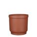 Joss & Main Privet Terracotta Pot Planter Clay & Terracotta | 7.85 H x 9 W x 9 D in | Wayfair 6433D22B51C447259536A124C9286BFA