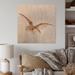 Millwood Pines Portrait Of A Barn Owl IV - Traditional Wood Wall Art Decor - Natural Pine Wood in Blue/Brown | 30 H x 30 W x 1 D in | Wayfair