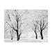 Loon Peak® Deibel Trees - Winter Landscape Wall Mural Non-Woven | 118 W in | Wayfair F45A122F17A74D8FA6B870D940E0C05A