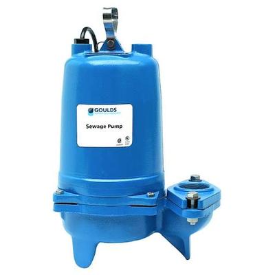 GOULDS WS1012BF 1 HP 2" Manual Submersible Sewage Pump 230V