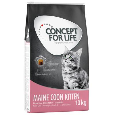 10kg Maine Coon Kitten Concept for Life Croquettes pour chat