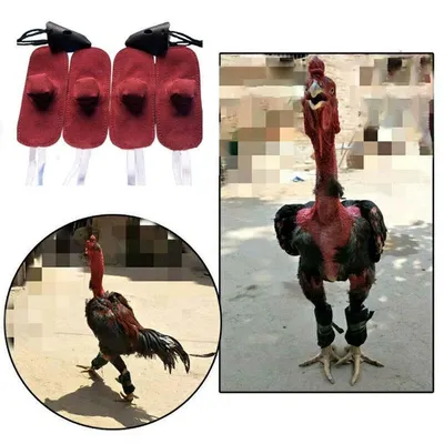 Gants de combat Gallos en cuir matériel de PROTECTION matériel de combat de poule
