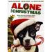 Alone for Christmas (DVD)