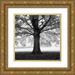 Henson Martin 20x20 Gold Ornate Wood Framed with Double Matting Museum Art Print Titled - Woodland Tones III