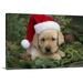 Great BIG Canvas | Labrador Retriever Puppy With Santa Hat In A Christmas Wreath; Maui Hawaii Canvas Wall Art - 24x16