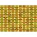 Ahgly Company Machine Washable Indoor Rectangle Transitional Golden Brown Yellow Area Rugs 2 x 4