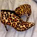 Jessica Simpson Shoes | Jessica Simpson Animal Print Booties | Color: Black/Tan | Size: 7.5