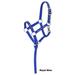 Tough1 Nylon Mini Halter w/ I Love My Mini Md Blu