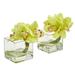 Nearly Natural Cymbidium Orchid Artificial Arrangement in Glass Vase (Set of 2)