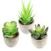 OUNONA 3pcs Fake Succulent Plant Office Artificial Plant Home Desktop Plant Decors (1pc Light Green Reeds 1pc Green Stone Lotus 1pc Green Money Leaf)