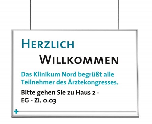 MADRID Silver Line Deckenhänger ~DIN A3 quer Image