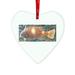 The Holiday Aisle® Fish Holiday Shaped Ornament Glass in Orange/Yellow | 7 H x 7.9 W x 0.1 D in | Wayfair 1692738CD3AB462E95DEBDC4914B16FF