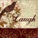 Trinx Live Laugh Love Birds 2 - Wrapped Canvas Graphic Art Canvas | 12 H x 12 W x 1.25 D in | Wayfair DA14F711DED34992BDA39CB0E4AE04F6