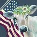 The Holiday Aisle® Patriotic Cow - Wrapped Canvas Painting Canvas | 12 H x 12 W x 1.25 D in | Wayfair 2B6B8B4D8E054D31A1FFBC61E239CB43