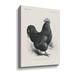 Gracie Oaks Vintage Farm Life II - Wrapped Canvas Graphic Art Canvas in Black | 24 H x 18 W x 2 D in | Wayfair B79CE9ABBD404DE0BFBB645EF4DFC152