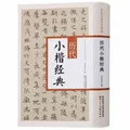 Livre de calligraphie chinoise Xiao Kai Mo Bi Zi cahier Shu Fa 401pages