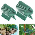 Clips de support pour plantes 20 pièces pour fleurs et vignes jardin tomates tiges vignes