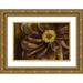 Goldberger Jennifer 24x17 Gold Ornate Wood Framed with Double Matting Museum Art Print Titled - Floral Illusion II