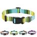 Pattern Dog Collar for Small Medium Large Dogs Adjustable Design for Male Female Puppy Pet