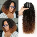 Tissage en lot brésilien naturel Remy frisé bouclé couleur ombrée Extensions de cheveux lots de