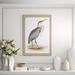 Lillian August Coastal Ornithology 3' Framed Graphic Art Print on Glass Paper in Gray/Green/White | 39.75 H x 27.75 W x 1.38 D in | Wayfair