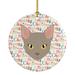 The Holiday Aisle® Malayan Cat Christmas Hanging Figurine Ornament Ceramic/Porcelain in Gray/Green/Pink | 2.81 H x 2.81 W x 0.15 D in | Wayfair