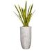 Vintage Home Panama 35" Artificial Snake Plant in Planter Plastic/Fiberstone | 55 H x 20 W x 20 D in | Wayfair VHX121237