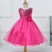 little Girls Cinderella Lace Princess Dress Pageant Ball Gowns Kids Tulle Flower Girls Dresses