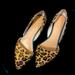 J. Crew Shoes | J Crew Animal Print Flats Size 7 | Color: Black/Tan | Size: 7