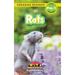Animals in the City: Rats : Animals in the City (Engaging Readers Level Pre-1) (Series #8) (Hardcover)