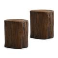 COSIEST 2PCS Faux Wood Tree-Trunk Hand-Painted Dark Brown End Table