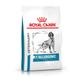 2x8kg Royal Canin Veterinary Anallergenic - Croquettes pour chien