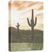 wall26 Canvas Print Wall Art Vintage Saguaro Cactus Desert Landscape Nature Wilderness Photography Realism Decorative Landscape Relax/Calm Zen Multicolor for Living Room Bedroom Office - 32 x4