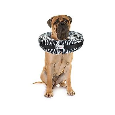 Comfurt Collar Dog & Cat Recovery Collar, Zebra, XX-Large