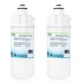 Swift Green Filters SGF-96-13 CTO-B Compatible Commercial Water Filter for EV9691-66 Made in USA (Pack of 2)