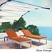 Shore Set of 2 Outdoor Patio Aluminum Chaise with Cushions