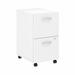 Studio C 2 Drawer Mobile File Cabinet in White - Engineered Wood