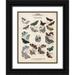 Lizars WH 12x14 Black Ornate Wood Framed with Double Matting Museum Art Print Titled - Foreign Butterflies