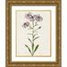 Unknown 19x24 Gold Ornate Wood Framed with Double Matting Museum Art Print Titled - Mauve Garden Flowers III