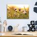 Gracie Oaks Epic Art 'Daisy at Sunset' by Martin Podt, Acrylic Daisy at Sunset by Martin Podt - Unframed Print Plastic/Acrylic | Wayfair